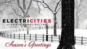 2017 Electricities - park lights corporate holiday ecard thumbnail
